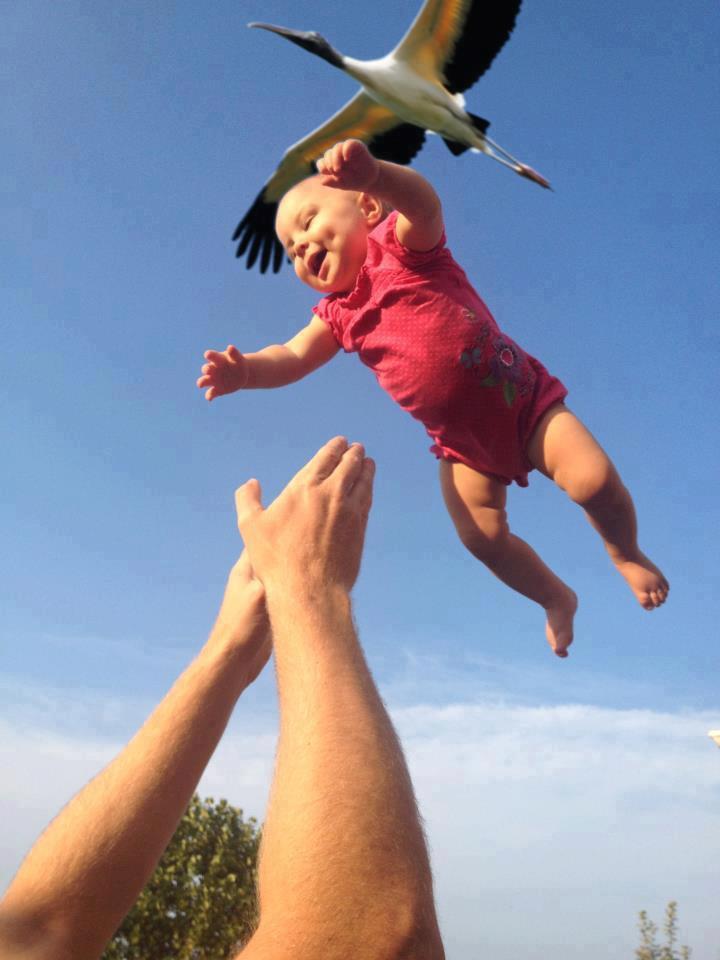Tényleg a gólya hozza a babákat....