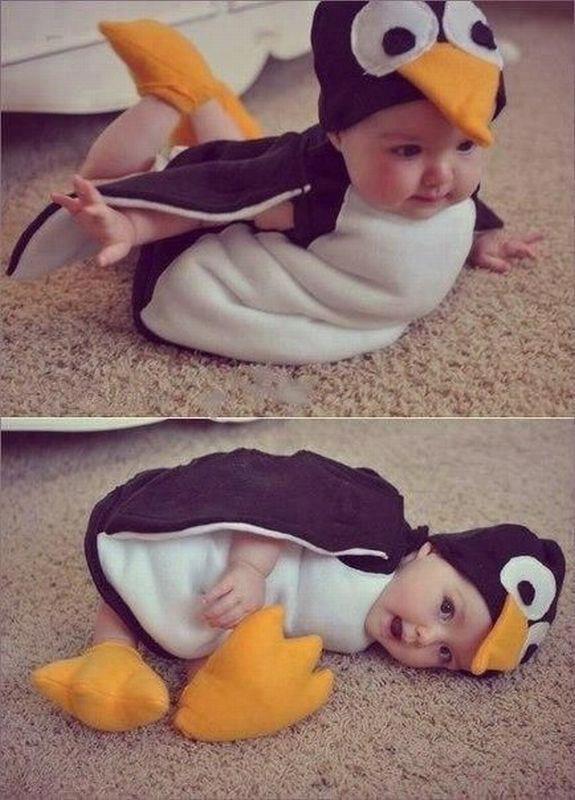pingvin bébi