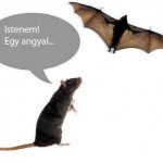 Angyalok léteznek