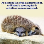 Bújjunk össze ezen a hideg hosszú estéken
