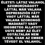 Figyeld az életet
