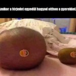 Amikor a férj unatkozik