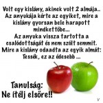 Mindennek meg van az oka