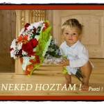 Neked hoztam