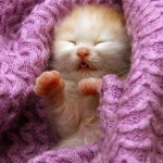 álmomban legyőztelek