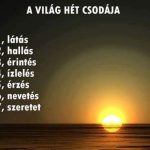 Csoda