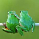 jó-helyre-hoztalak-szerelmem