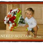 neked-hoztam
